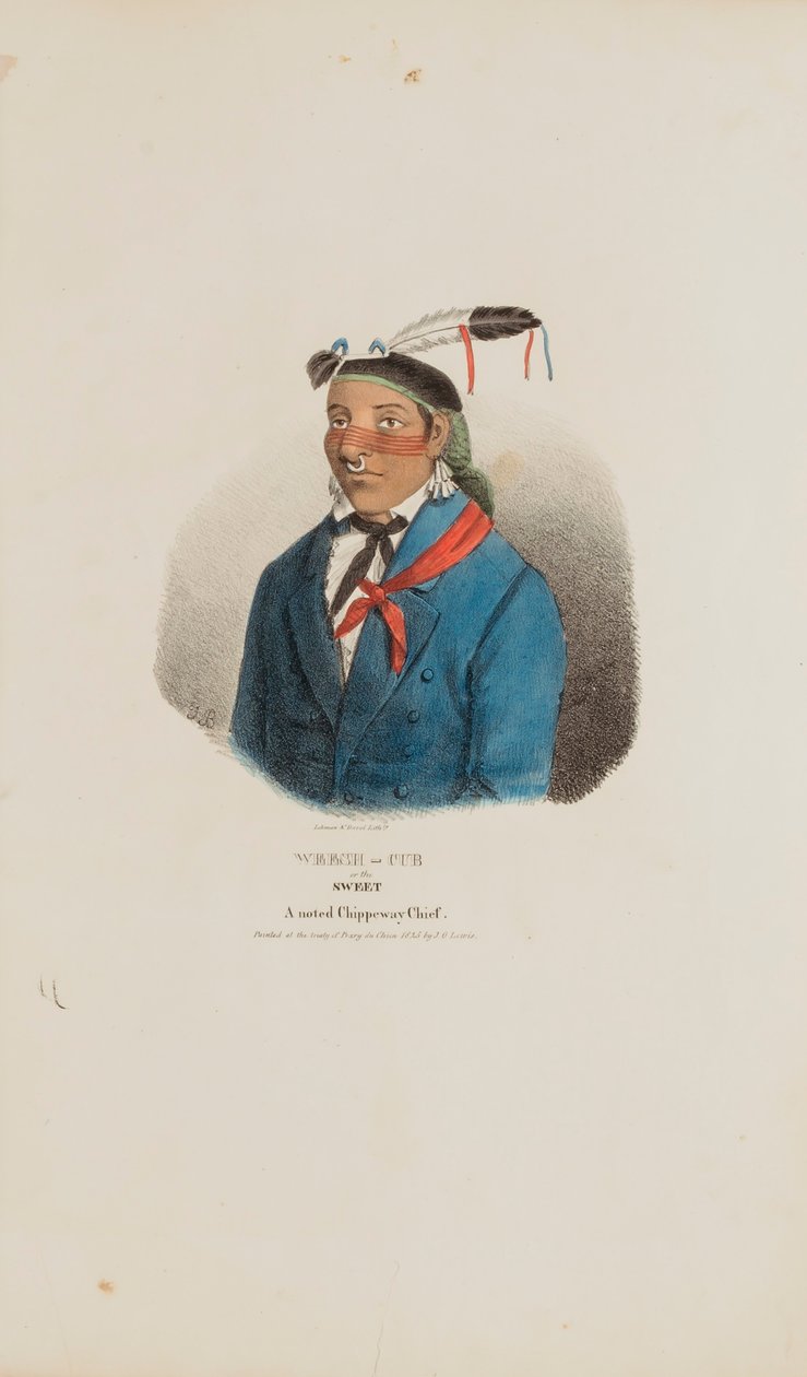 WEESH-CUB veya Tatlı; Ünlü Bir Chippeway Şefi, The Aboriginal Portfolio