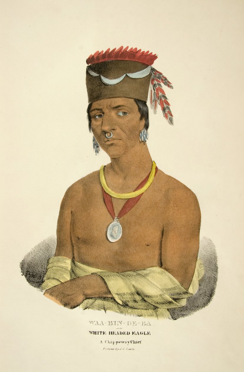 Waa-bin-de-ba veya Ak Başlı Kartal by James Otto Lewis
