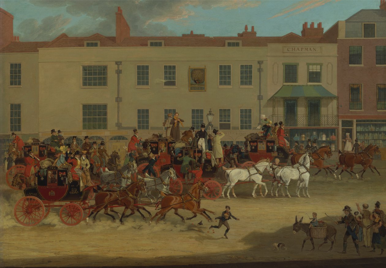 Peacock, Islington'daki Kuzey Ülke Postaları by James Pollard