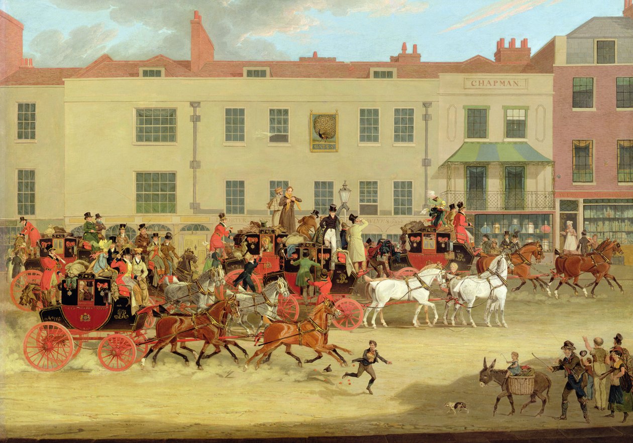 Peacock, Islington