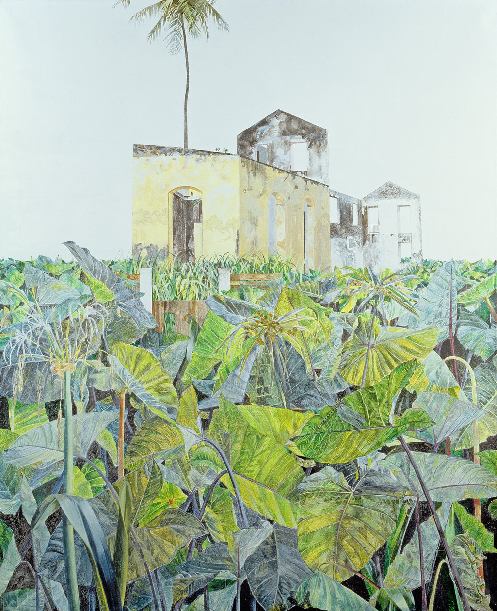 Bataklıkta Harabe, Haiti, 1971 by James Reeve