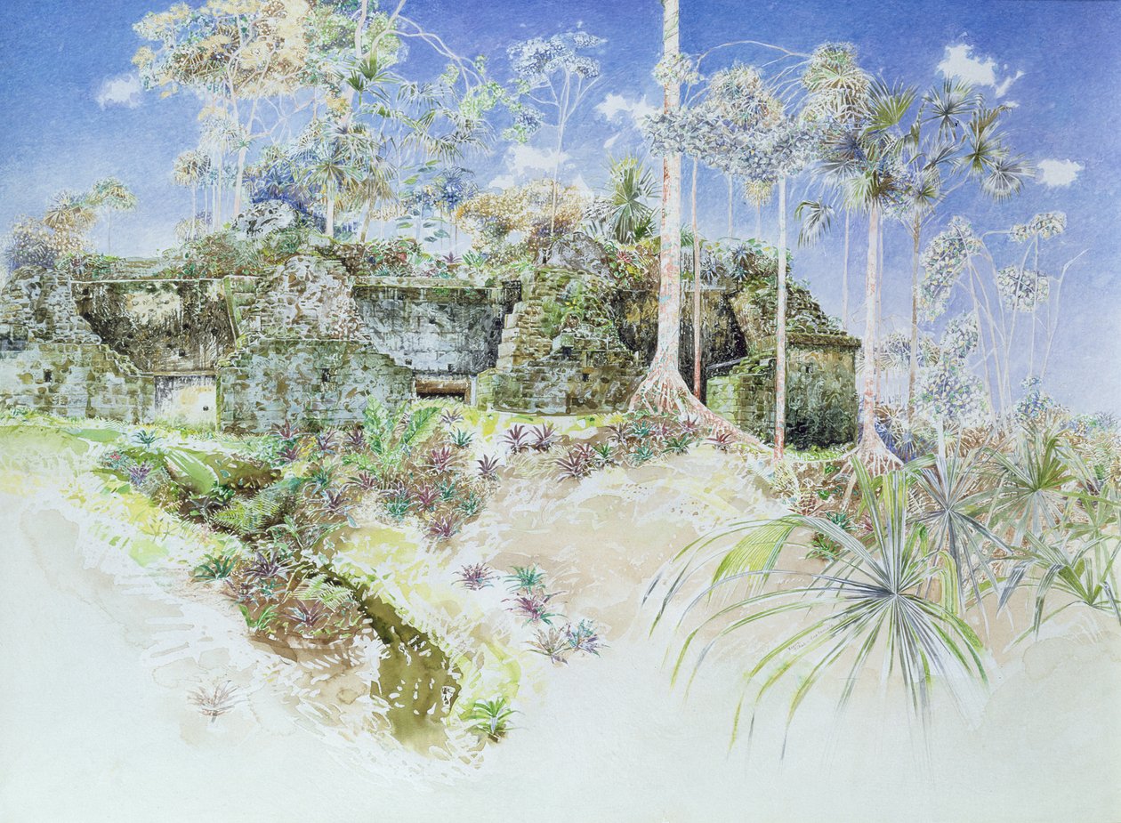 Ruined Temple, Tikal, Guatemala, 1984 (kağıt üzerinde wc) by James Reeve