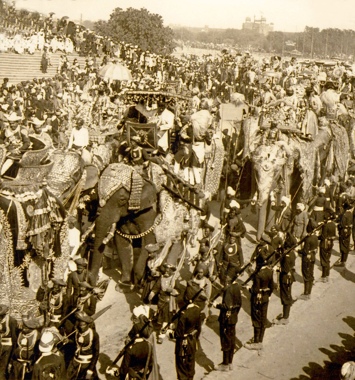 Büyük Durbar alayı, Delhi, Hindistan. 1903 (fotoğraf) by James Ricalton