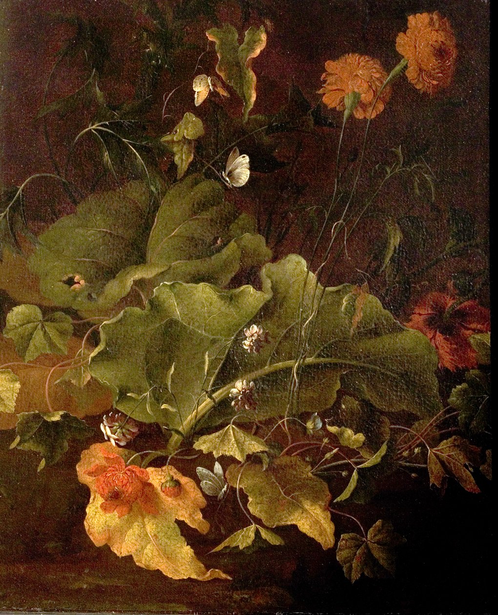 Rıhtım Yaprakları ve Diğer Çiçekler, c.1820 by James Sillett
