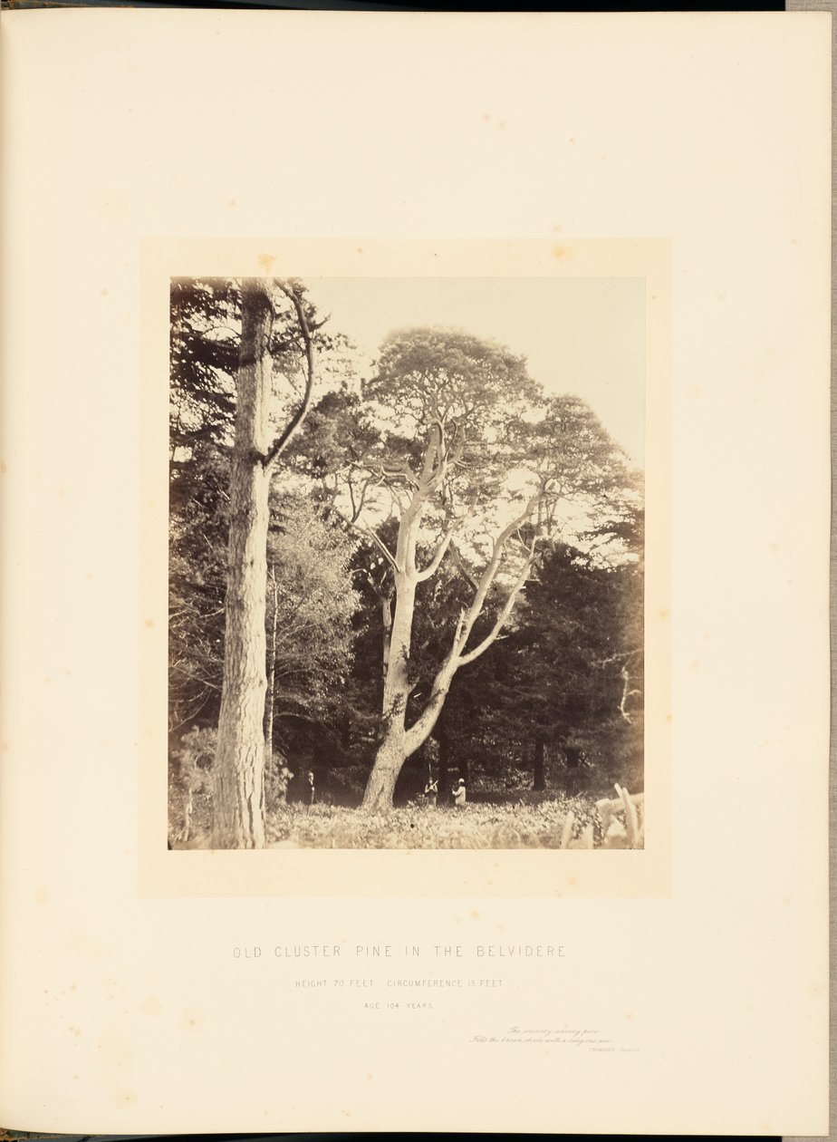  by James Sinclair, 14th Earl of Caithness