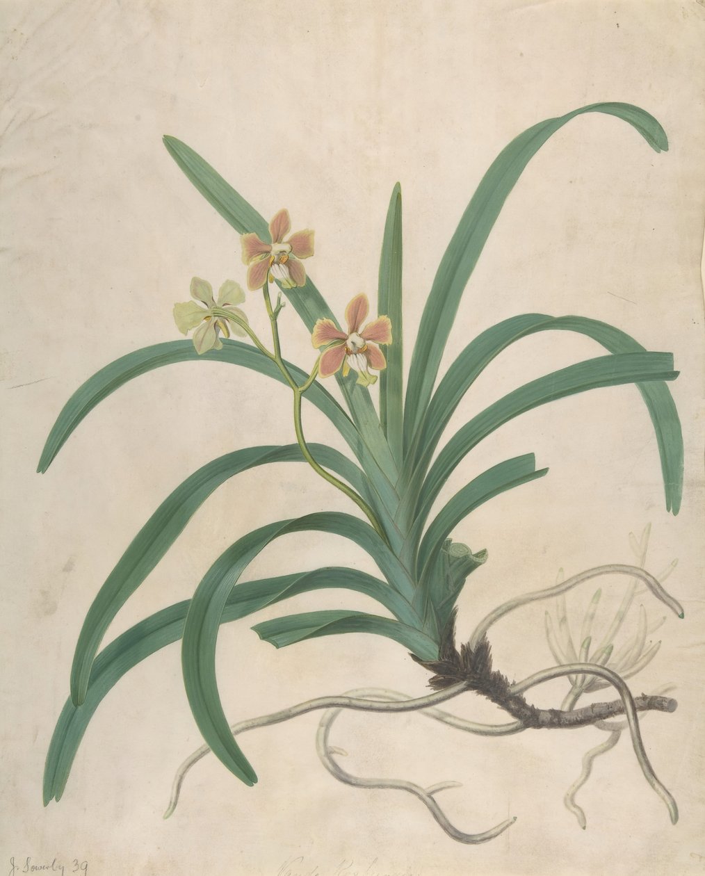1822