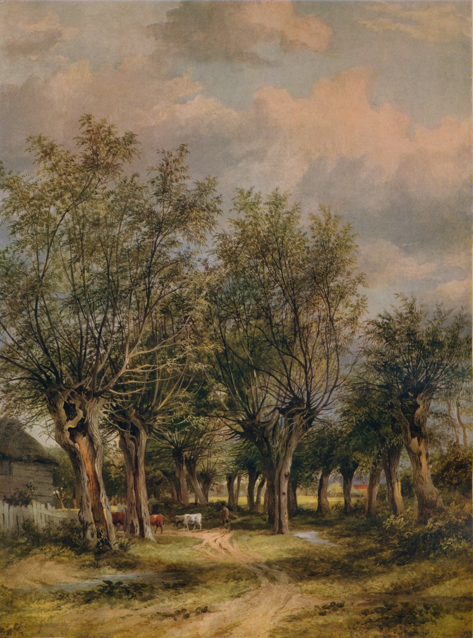 Norwich yakınlarındaki bir şerit, c1837 by James Stark