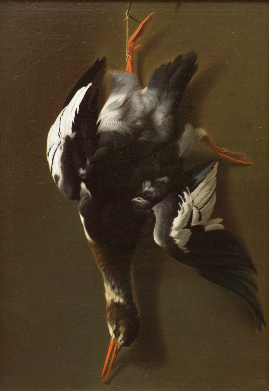 Ölü Tavuk, c.1815 (tuval üzerine yağlı boya) by James Thom