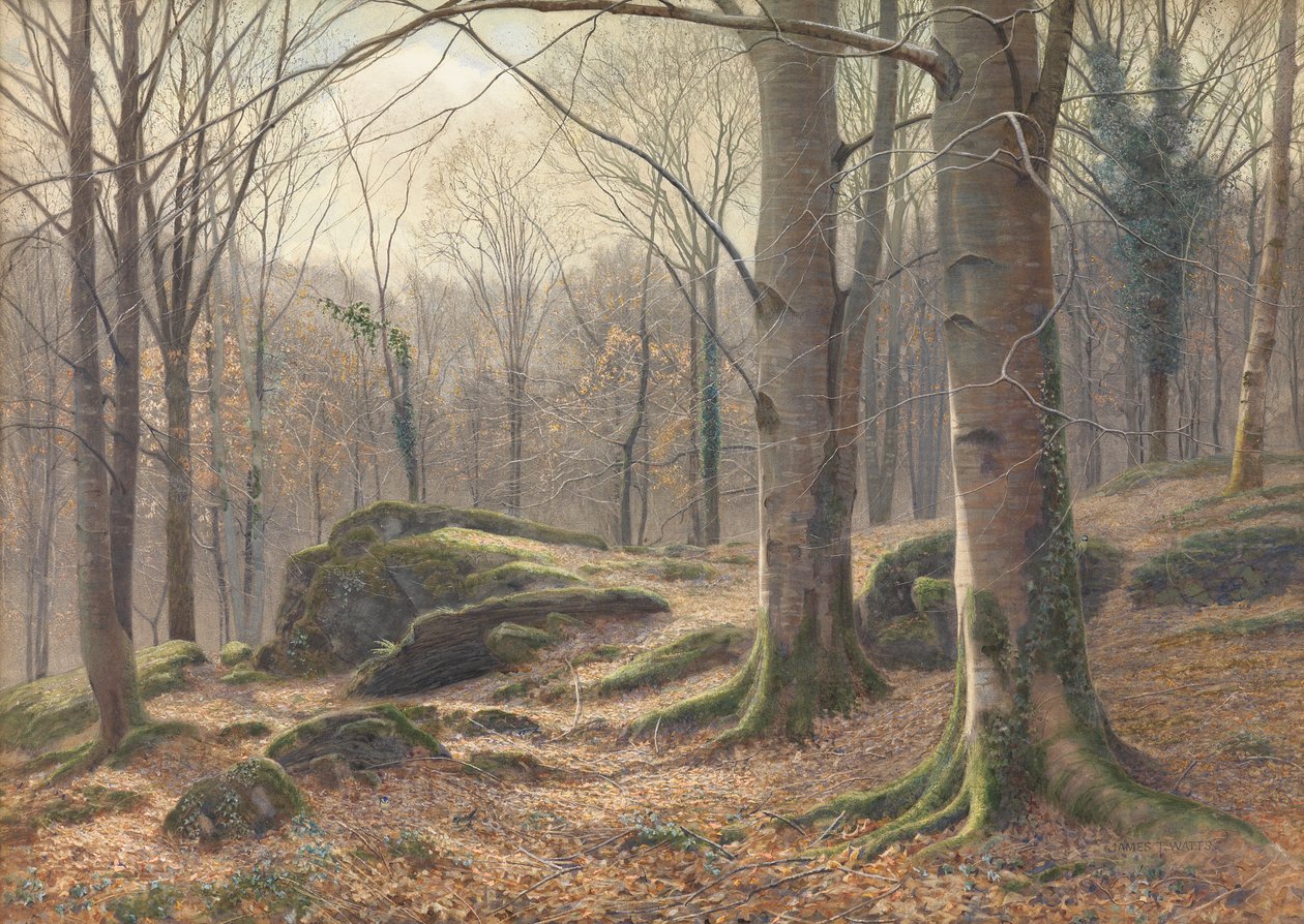 Bir Kış Sabahı, Kırağı Erimesi, 1885-1894 by James Thomas Watts