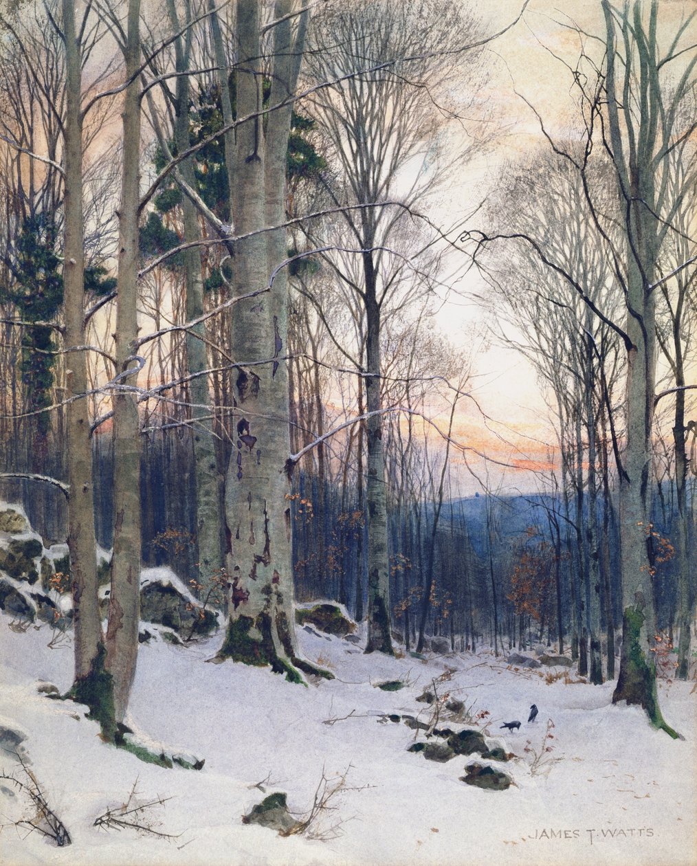 Alacakaranlık, Beech Woods (wc) by James Thomas Watts