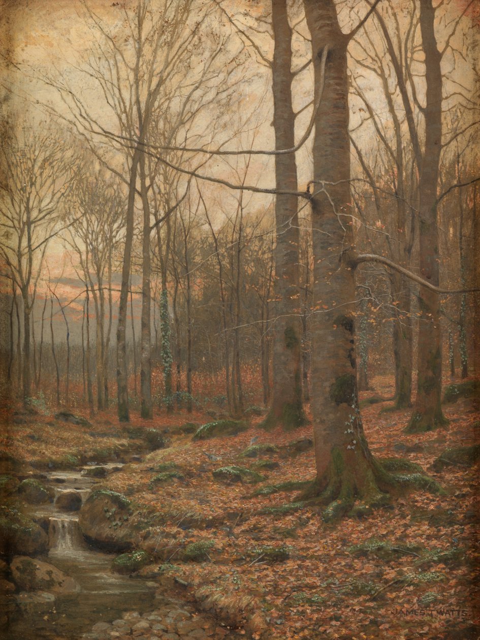 Ormanda Kış, Betws-y-Coed (suluboya ve suluboya) by James Thomas Watts