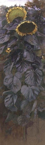 Ayçiçekleri (suluboya) by James Valentine Jelley