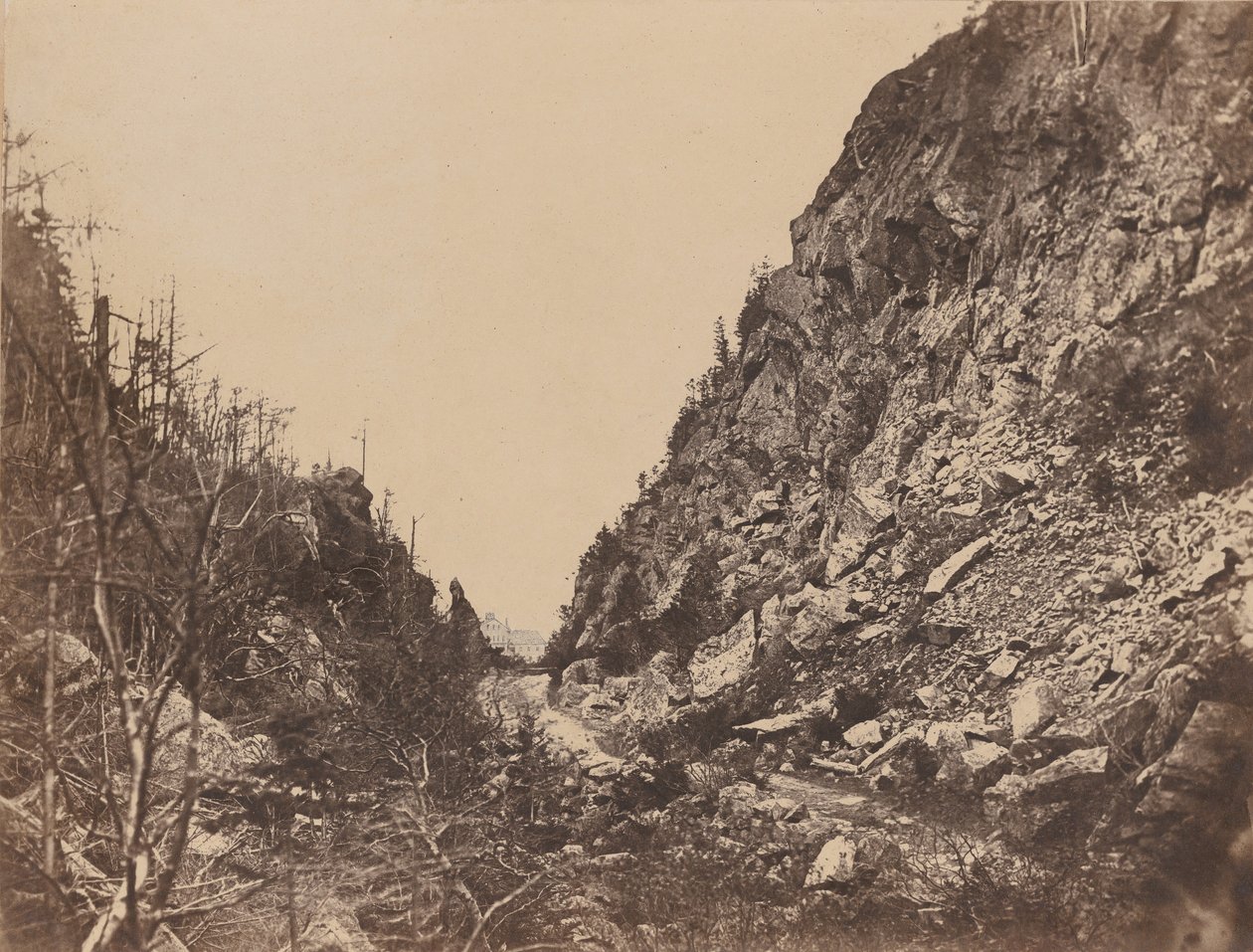 White Mountain Notch Başkanı, Crawford House, 1854. by James Wallace Black