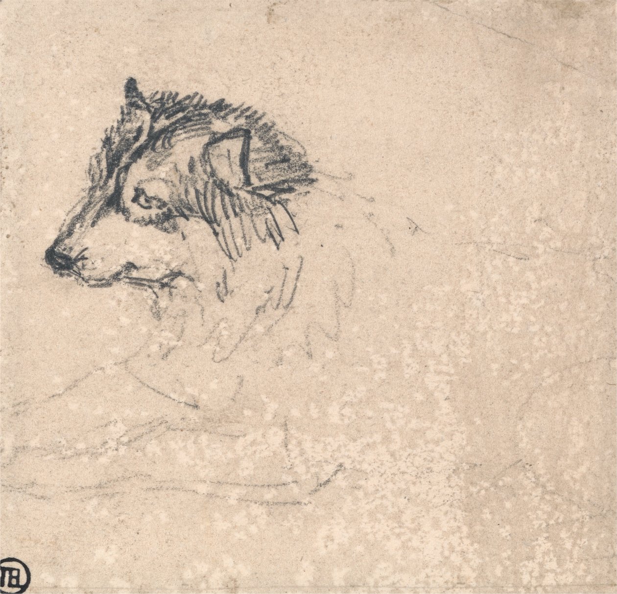 Kutup köpeği, sola dönük by James Ward