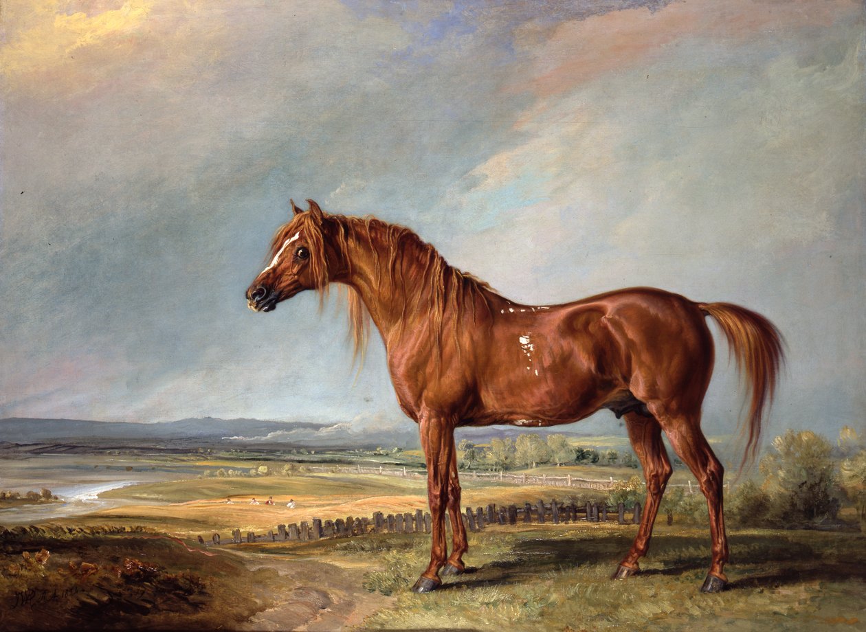 Wellington