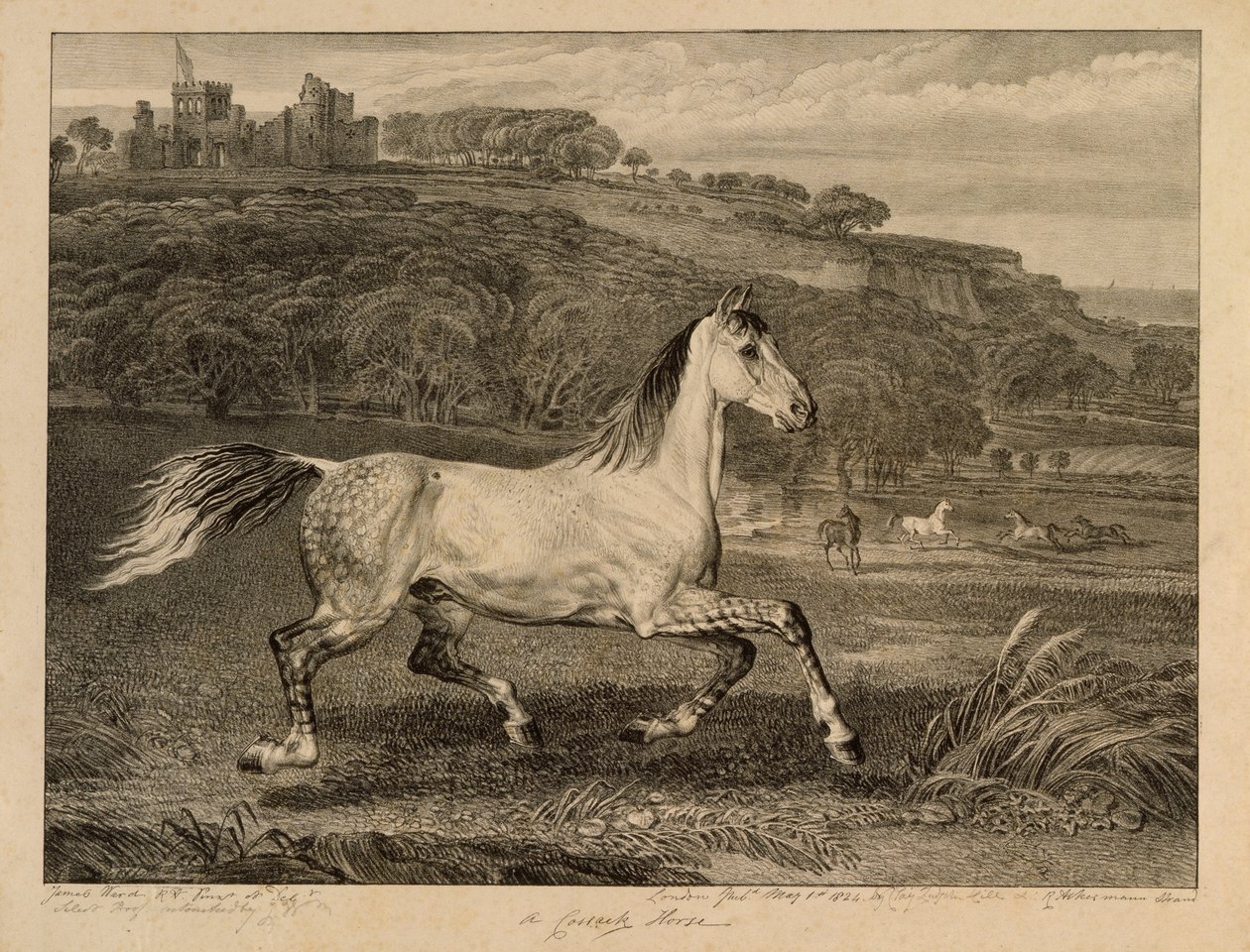 Cossack Horse, Celebrated Horses