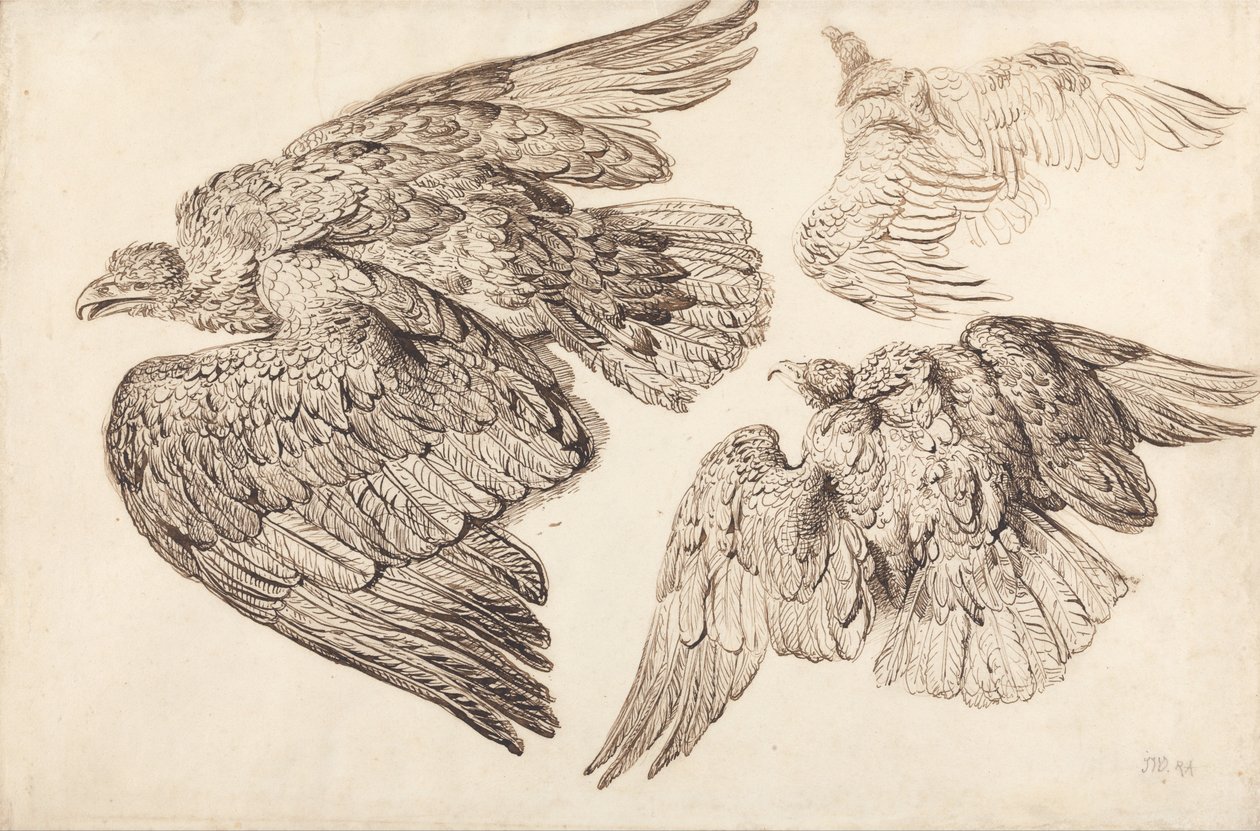  by James Ward