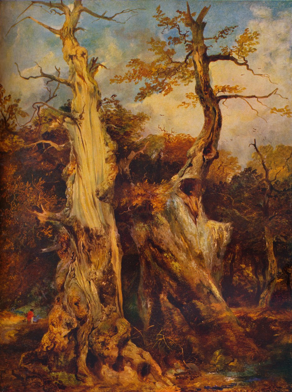 Ormanda, c19. yüzyıl by James Ward