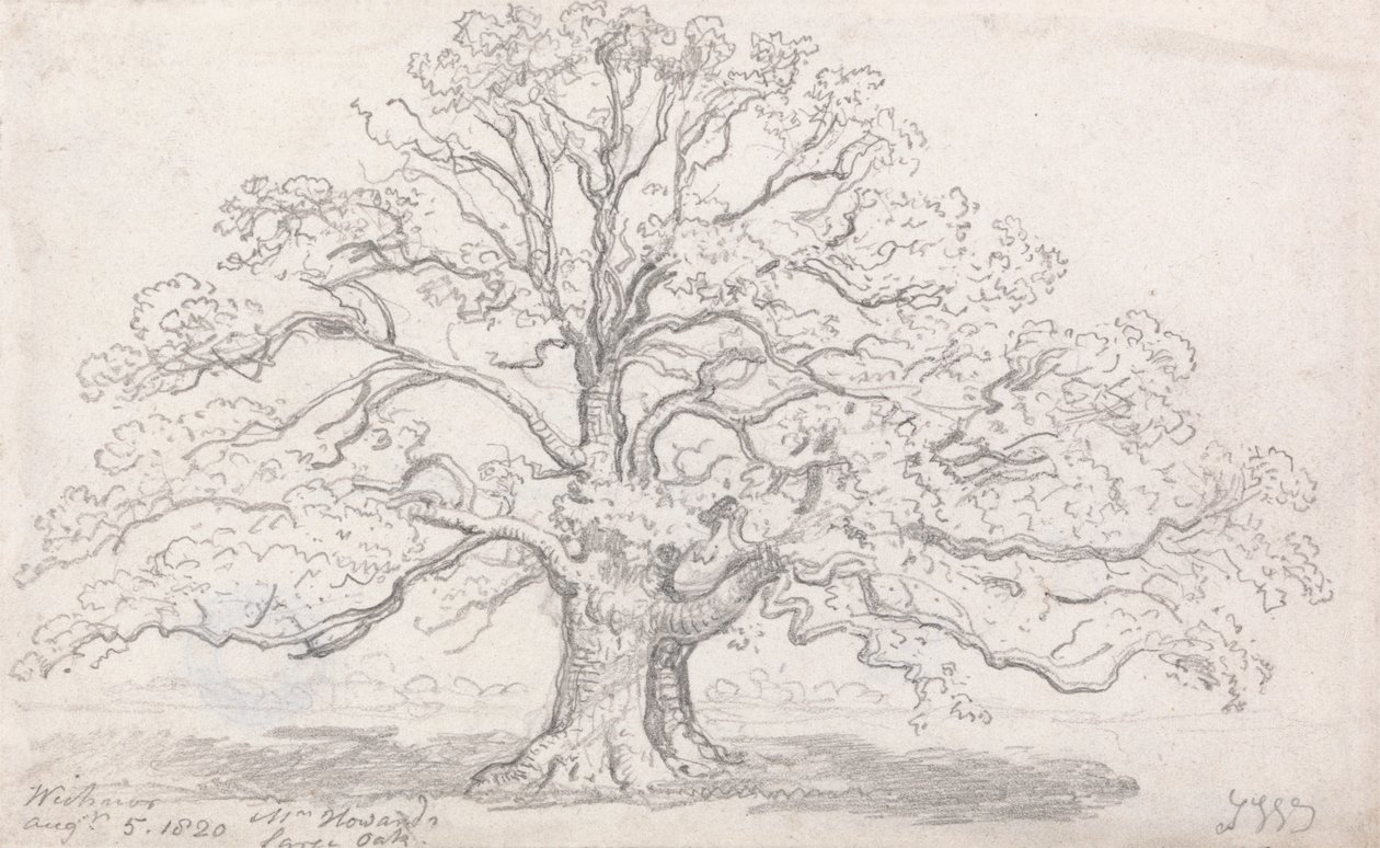 Bay Howard'ın Büyük Meşesi, 5 Ağustos 1820 by James Ward