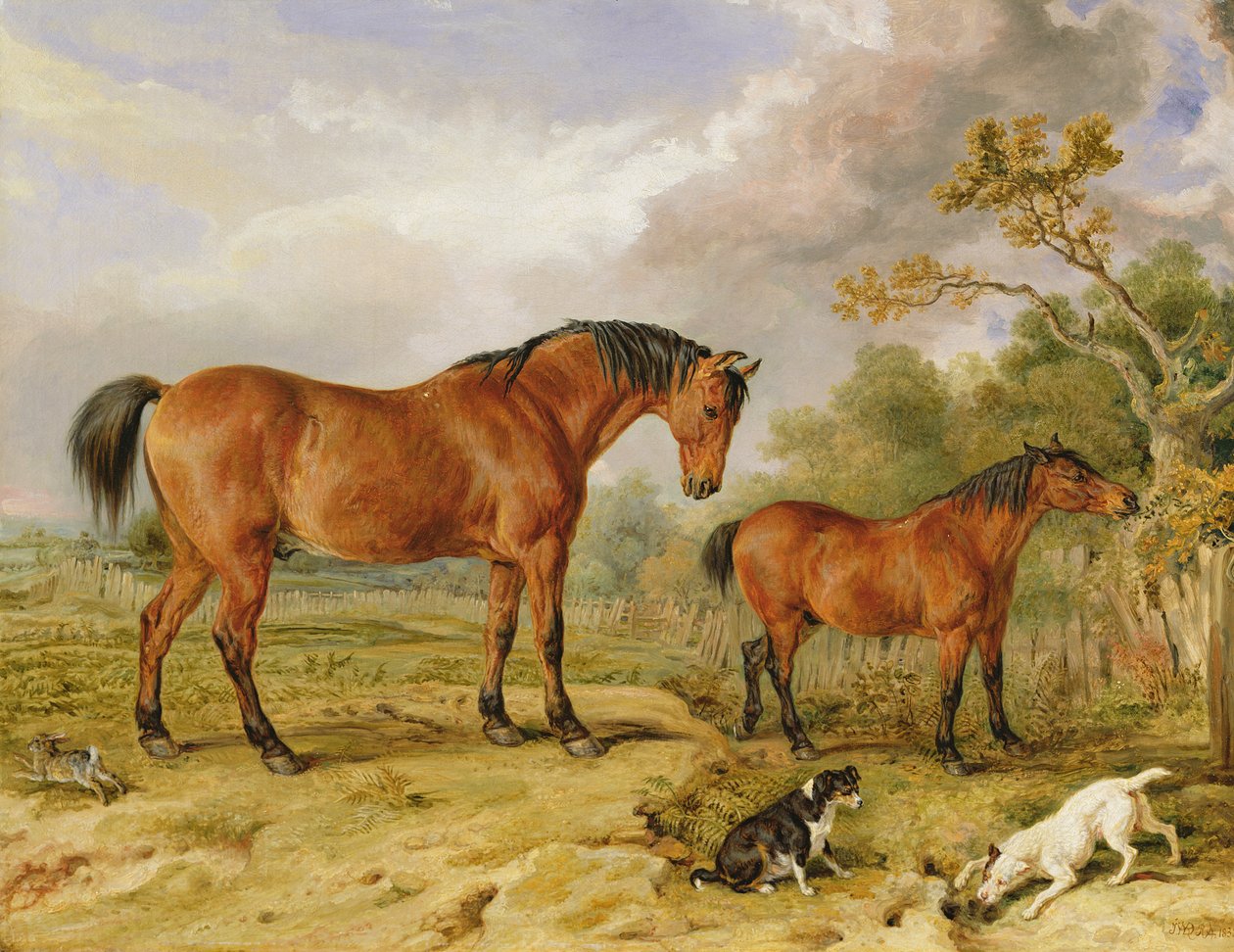 Reformer, Blucher, Tory ve Crib