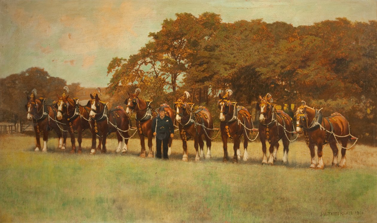 Shire Atları, 1896 by James Weaver Tattersall