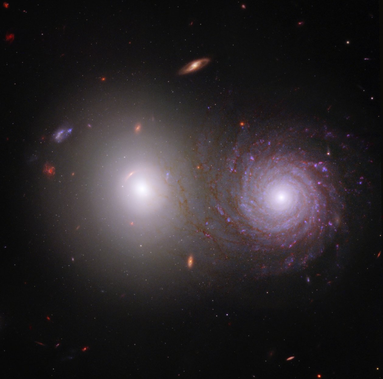 Etkileşen Gökadalar VV 191 (Webb ve Hubble Birleşik Görüntüsü) by James Webb Space Telescope (NASA)