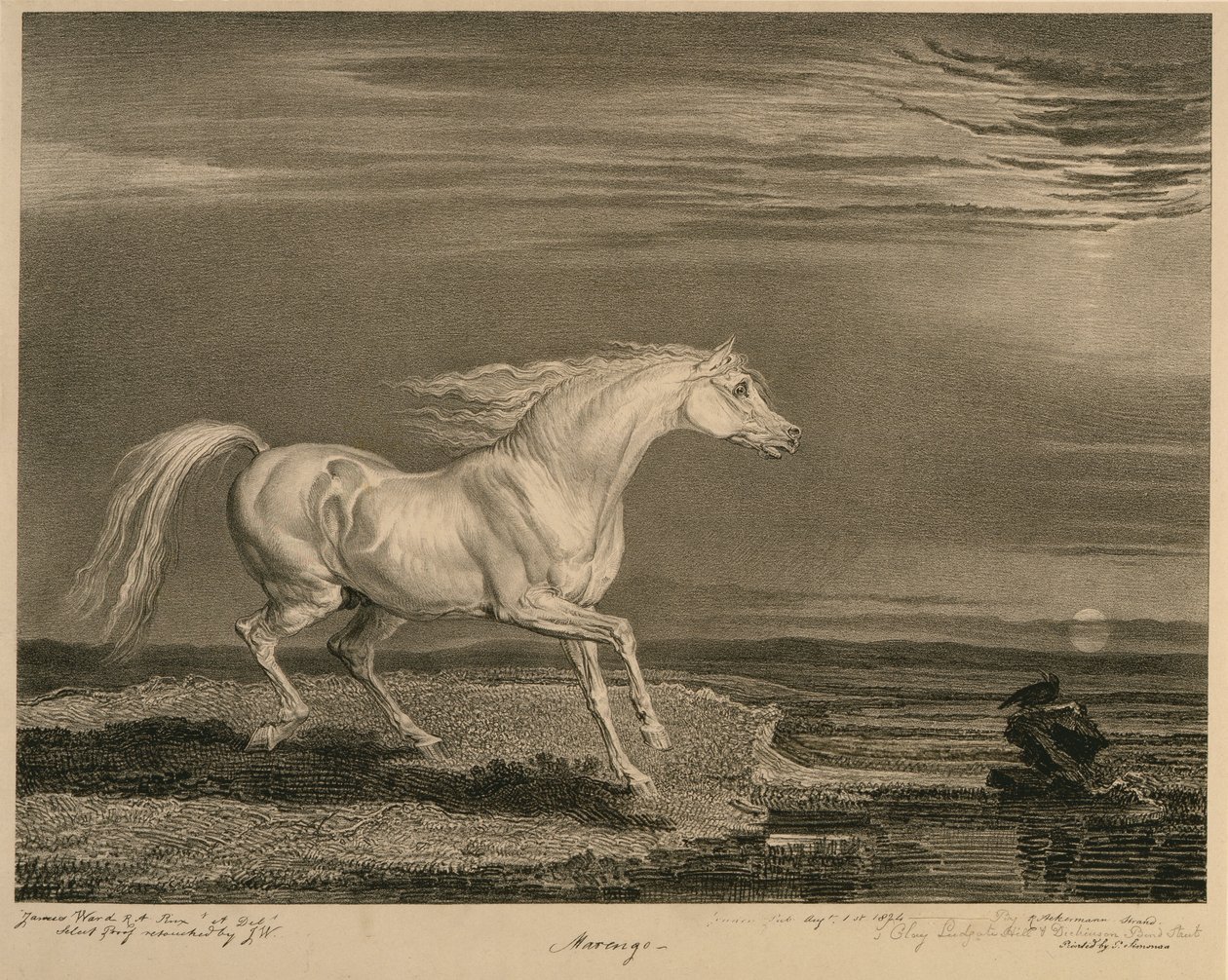 Marengo, Celebrated Horses