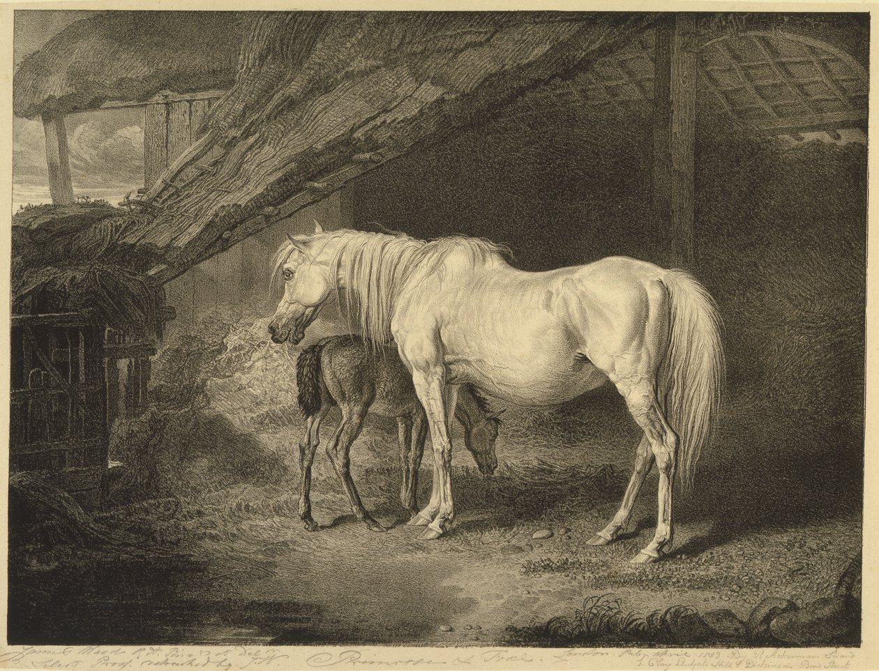 Celebrated Horses