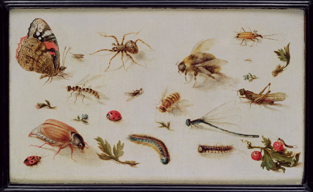 Böcekler Üzerine Bir Araştırma by Jan the Elder Brueghel