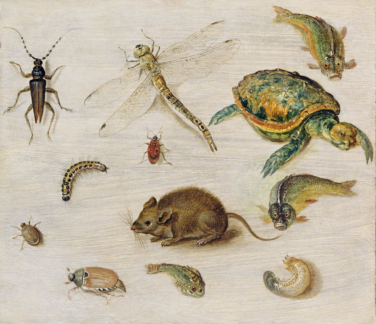 A Study of Insects, Sea Creatures and a Mouse by Jan the Elder Brueghel