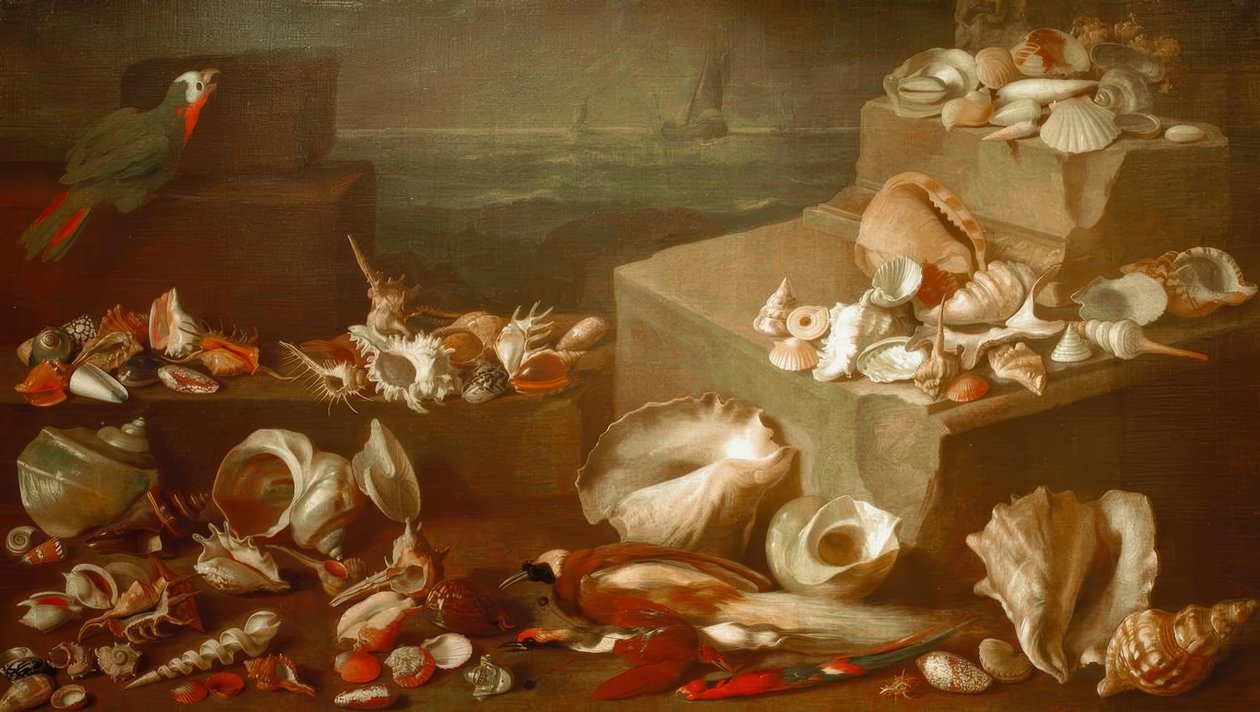 Salyangoz ve kabukları ile natürmort by Jan Davidsz de Heem