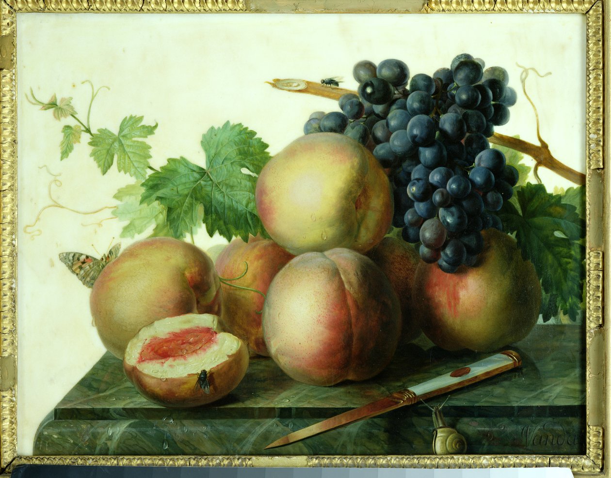 Mermer Üzerine Şeftali ve Üzümlü Natürmort by Jan Frans van Dael