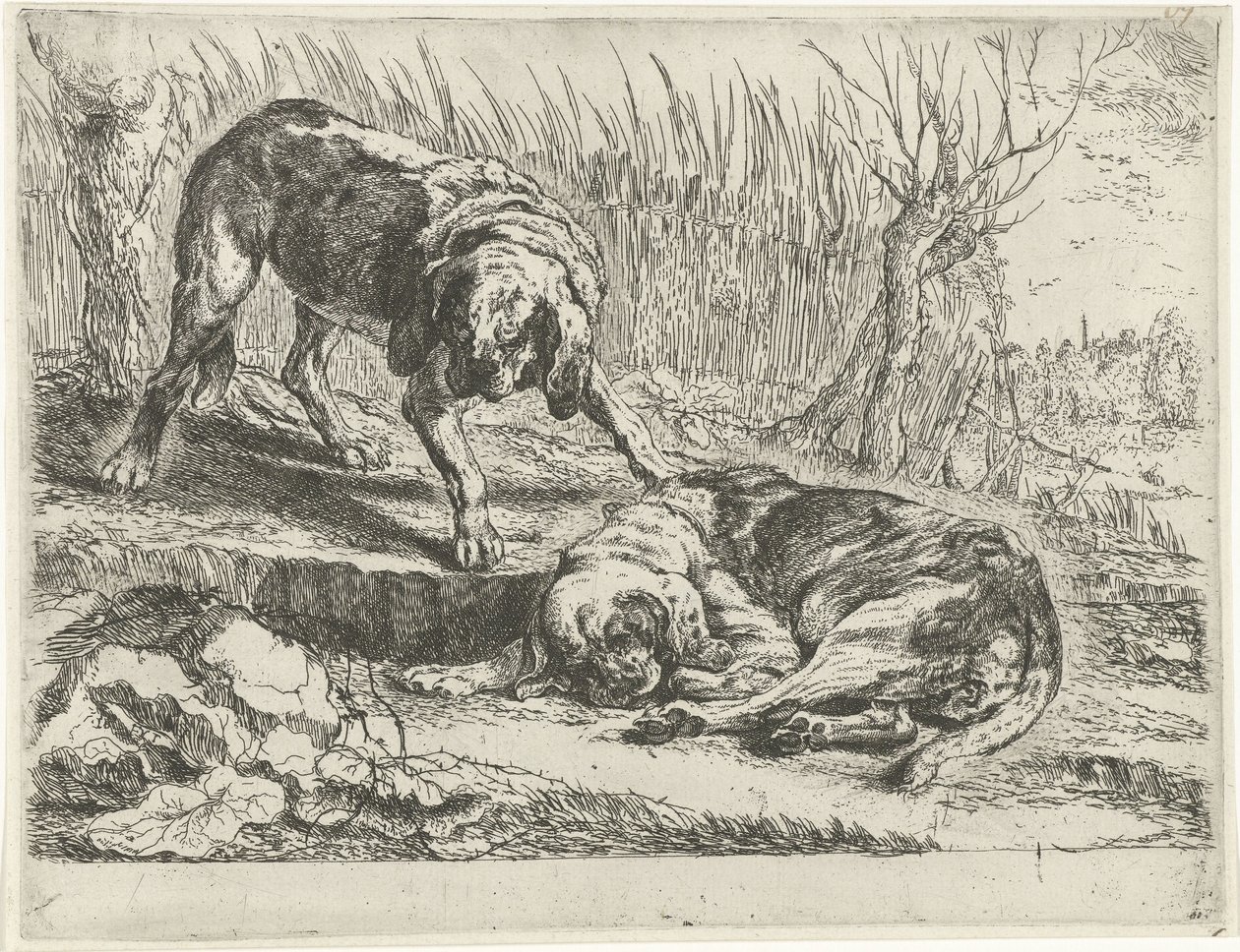 İki köpek by Jan Fyt