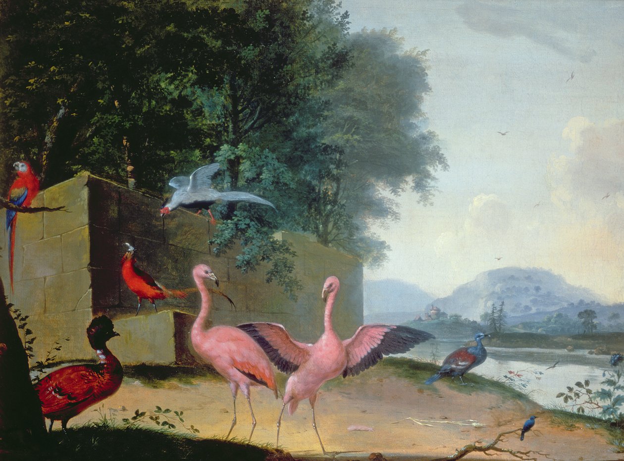 Flamingolar, Papağanlar ve Lady Amherst Sülün Dahil Egzotik Kuşlar Meclisi by Gerrit van Honthorst