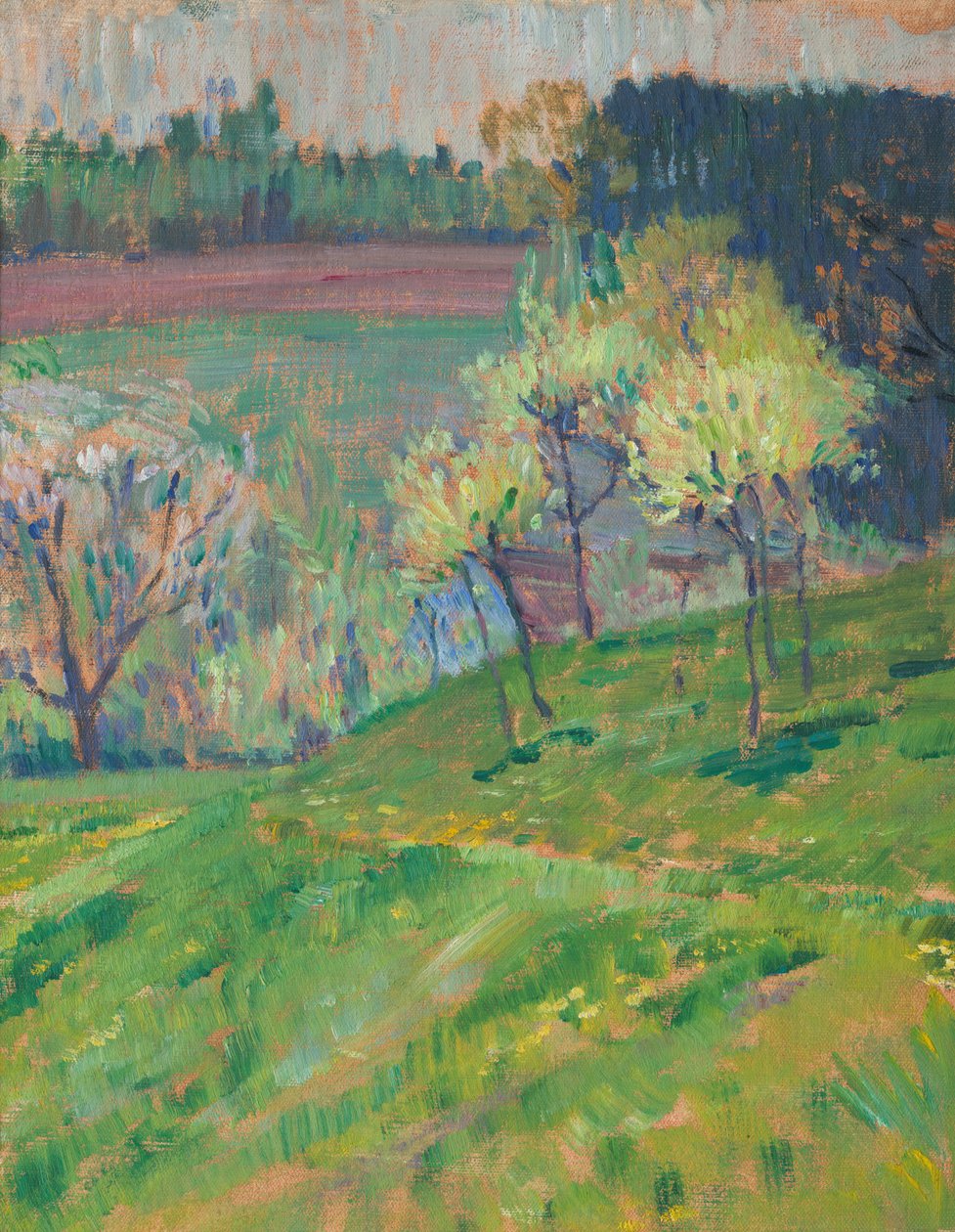çiçek açan bahçe by Jan Preisler