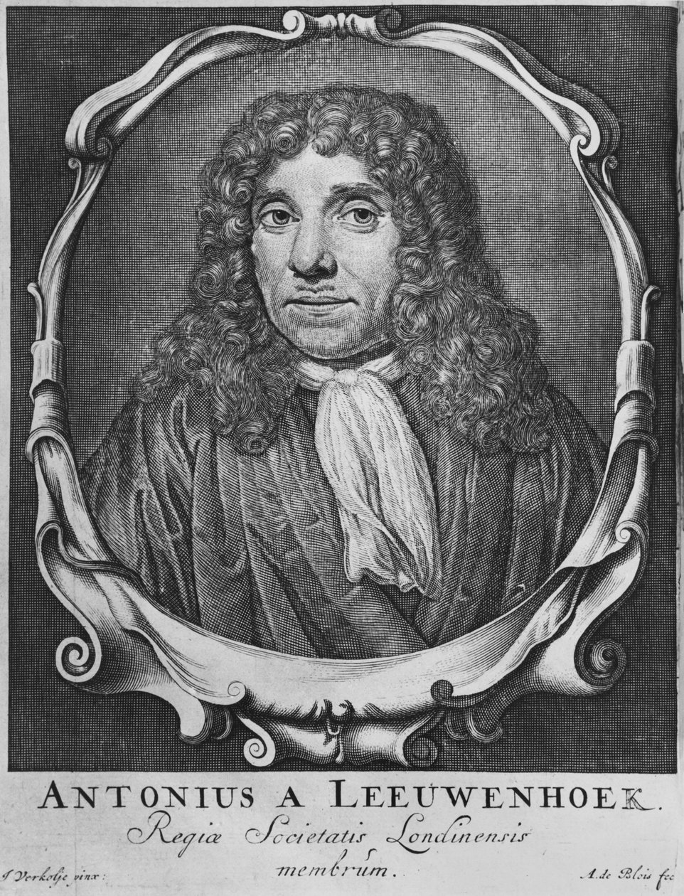 Anton Van Leeuwenhoek'in portresi, Abraham de Blois (17.-18. yüzyıl) Leiden, 1722 tarafından oyulmuş 'Arcania naturae...' adlı resimden by Jan Verkolje
