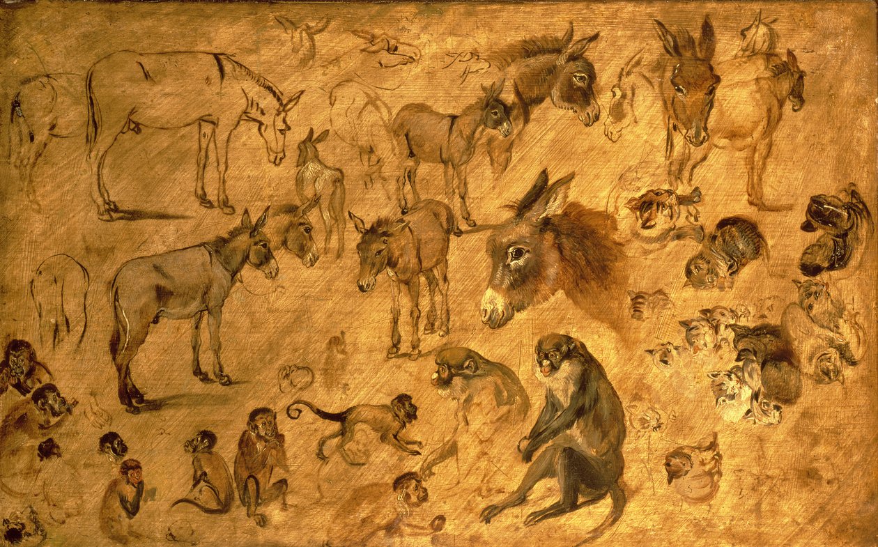 Eşekler, Yavru Kediler ve Maymunlar Çalışması, 1616 by Jan the Elder Brueghel