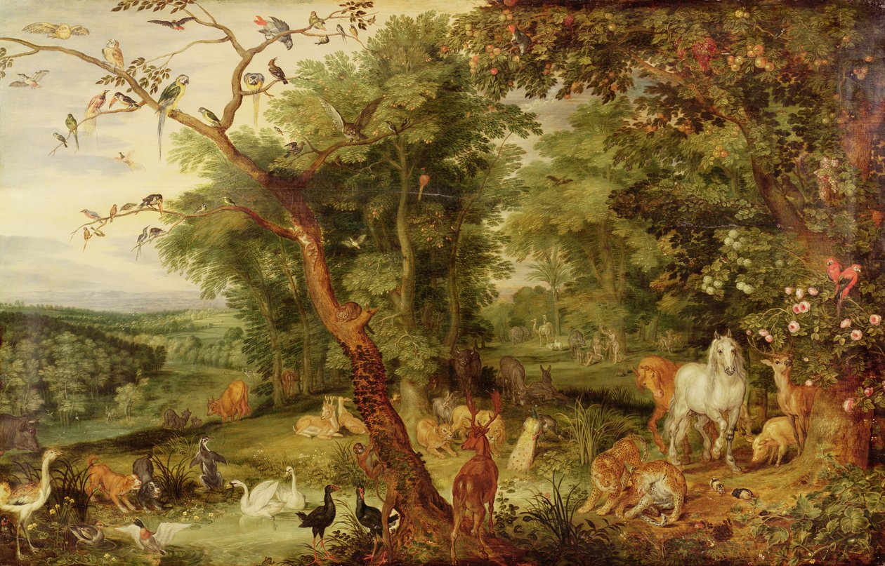 Eden