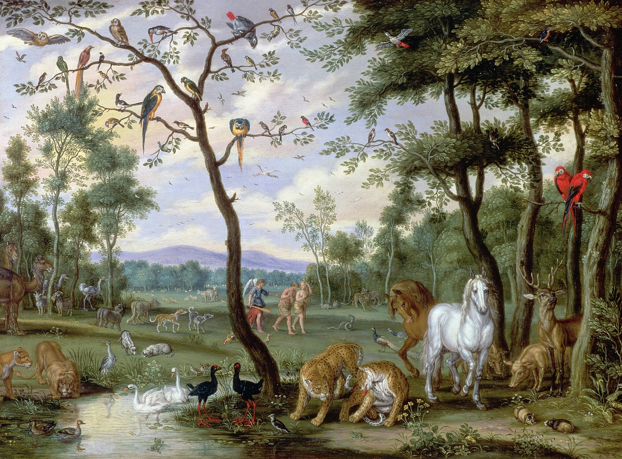 ಭೂಮಿಯ ಸ್ವರ್ಗ (ಫಲಕ) turk by Jan Brueghel the Younger