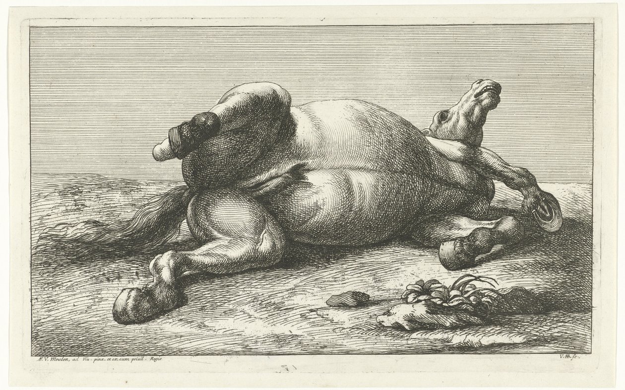 Sırt üstü yatarak operasyonda öldürülen atlar by Jan van Huchtenburgh  