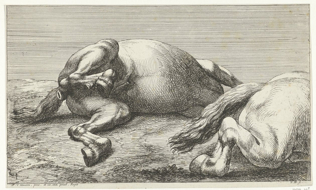 Eylemde soldan görülen iki at öldürüldü by Jan van Huchtenburgh  