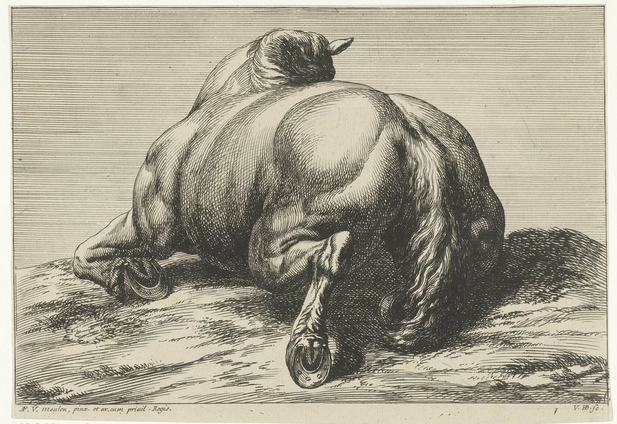 Arkadan görülen karnının üzerinde yatan bir at by Jan van Huchtenburgh