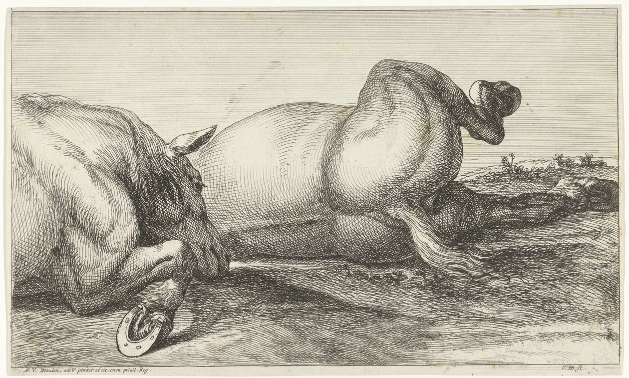 Üst üste yatan eylemde iki at öldürüldü by Jan van Huchtenburgh