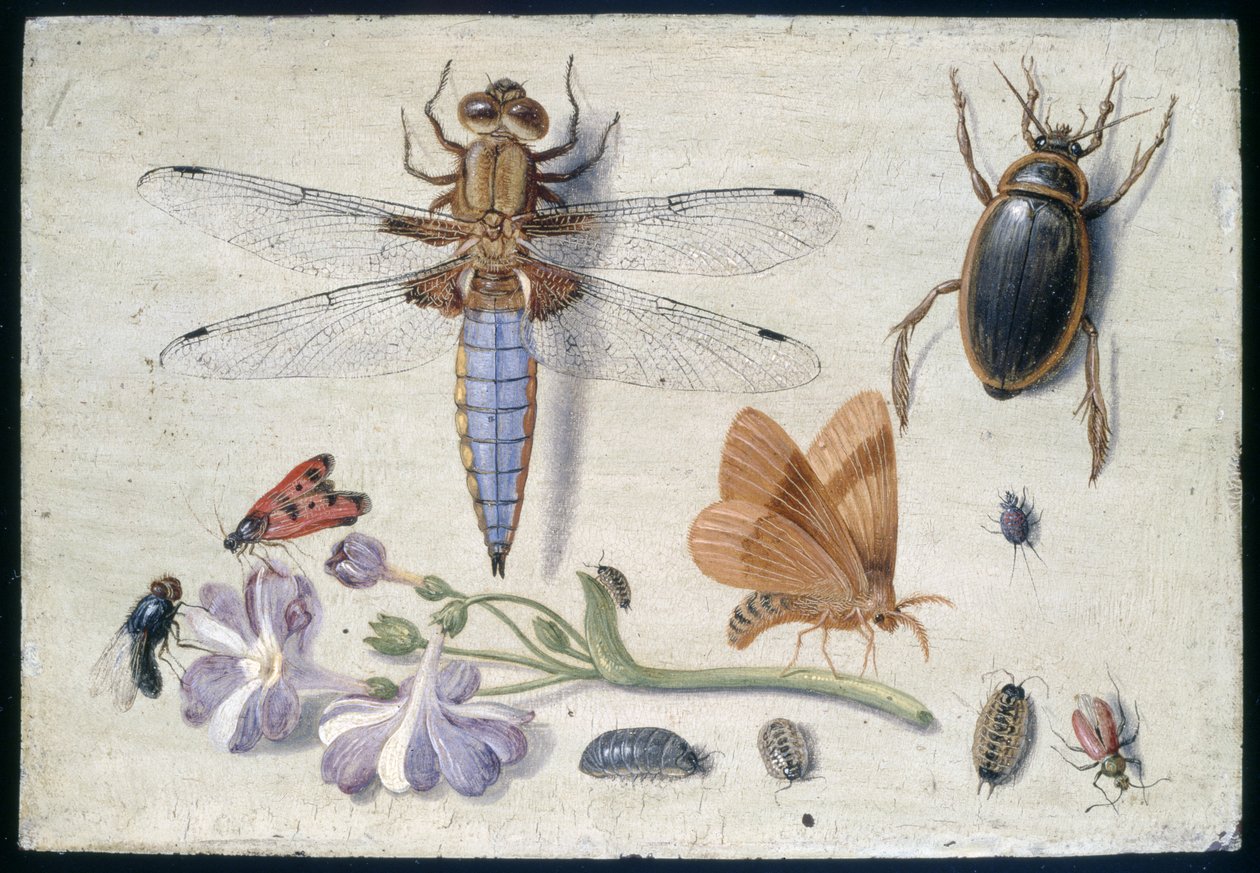 1650