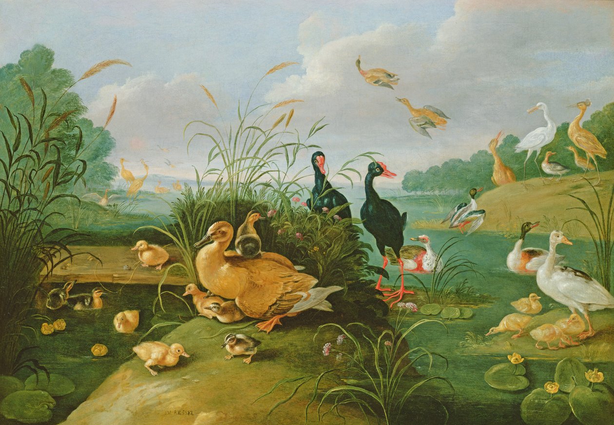 Dekoratif kümes hayvanları ve ördek yavrusu by Jan van Kessel the Elder