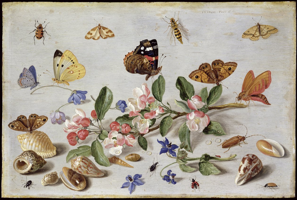 Insects (oil on copper) by Jan van Kessel the Elder