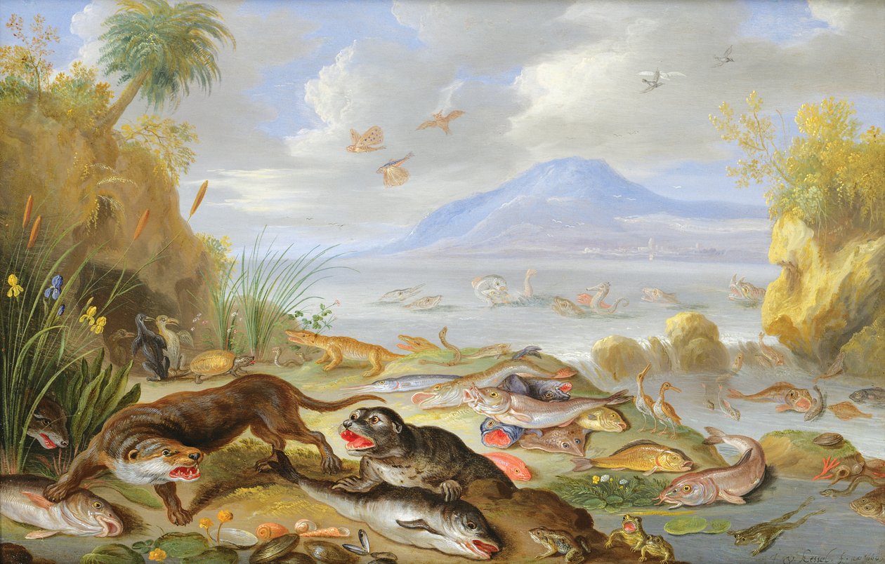 Su Elementi, 1660 (bakır üzerine yağ) by Jan van Kessel the Elder