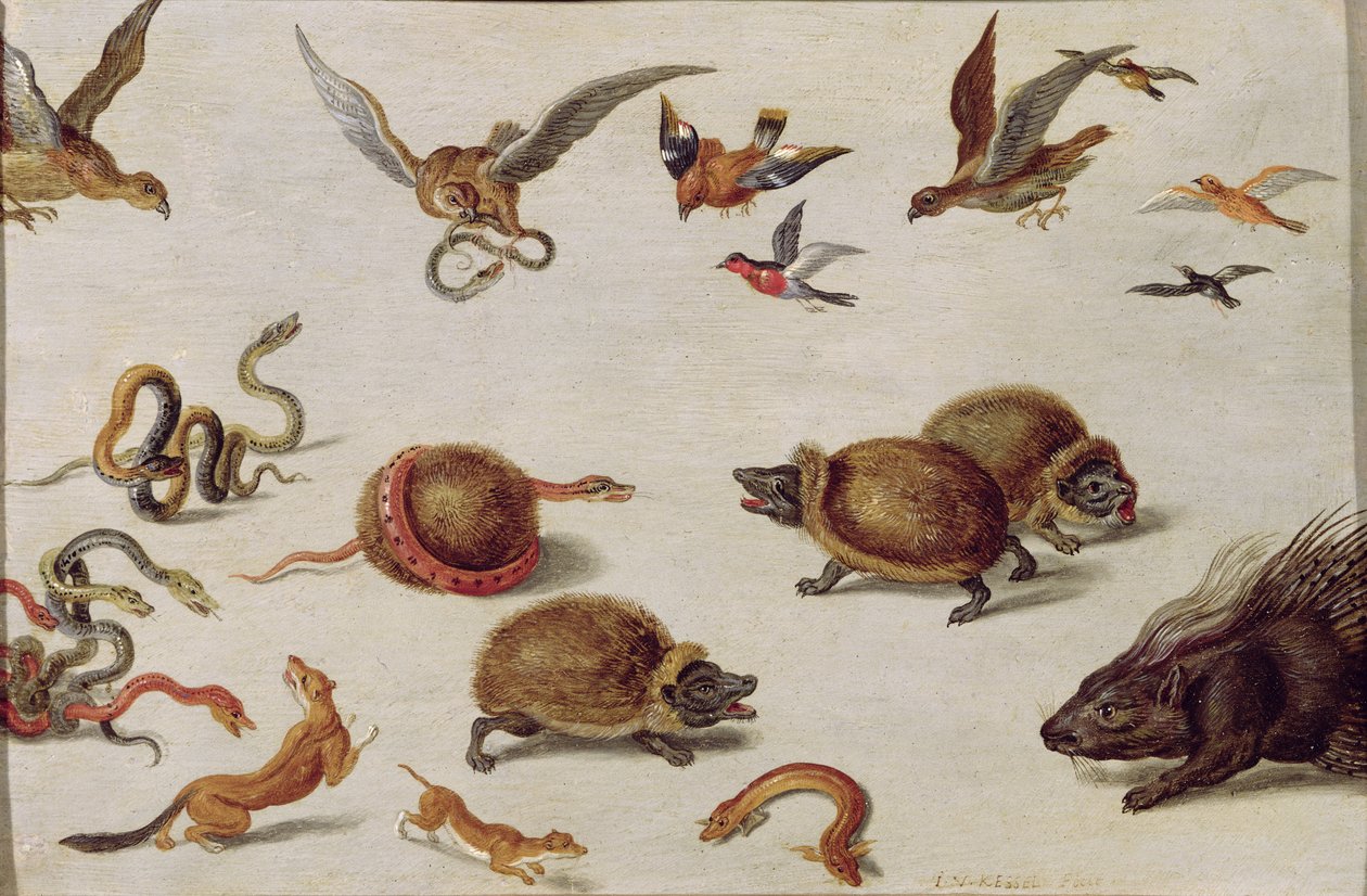 Yılanların Düşmanları by Jan van Kessel the Elder