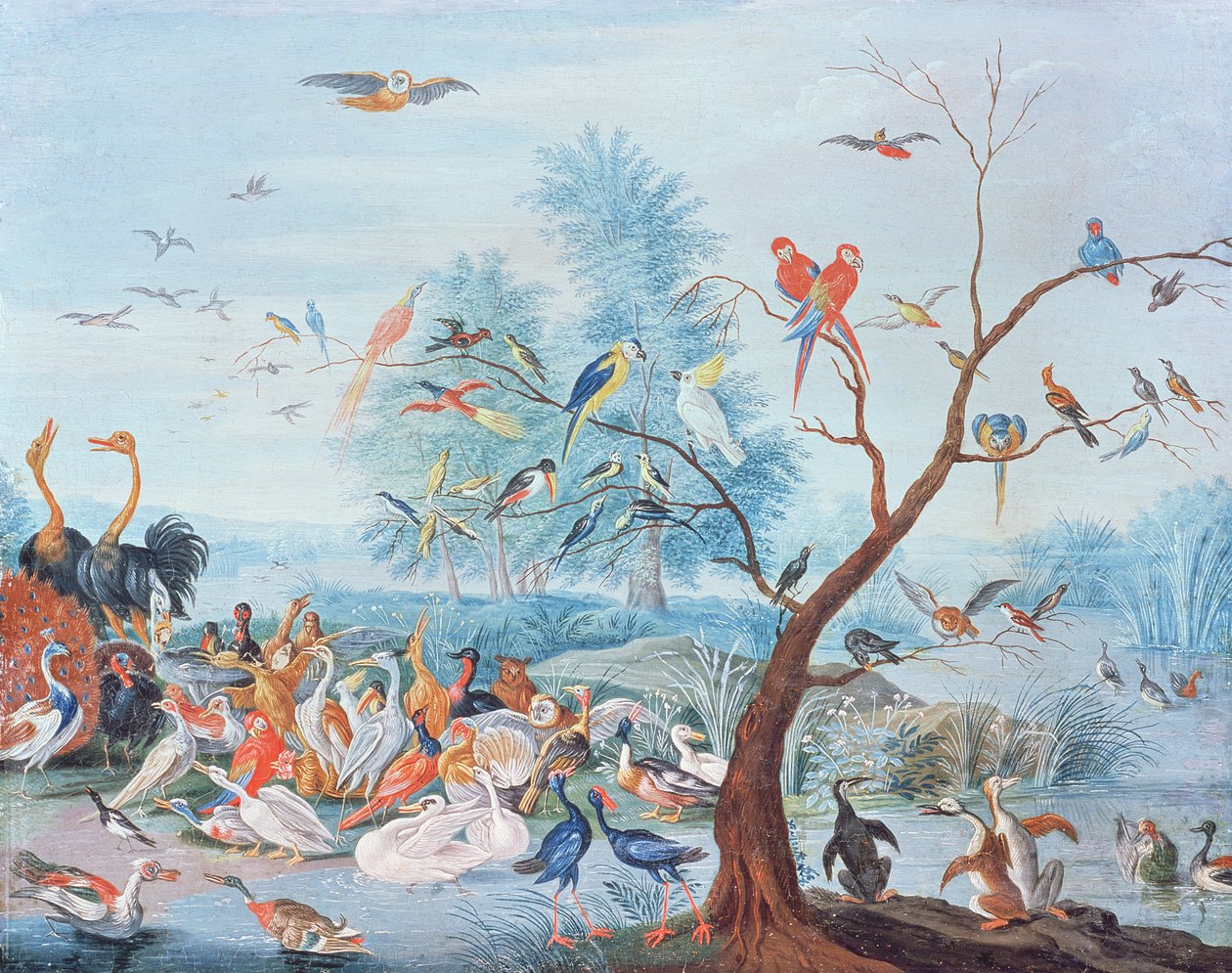 Bir manzara içinde tropikal kuşlar by Jan van Kessel the Elder
