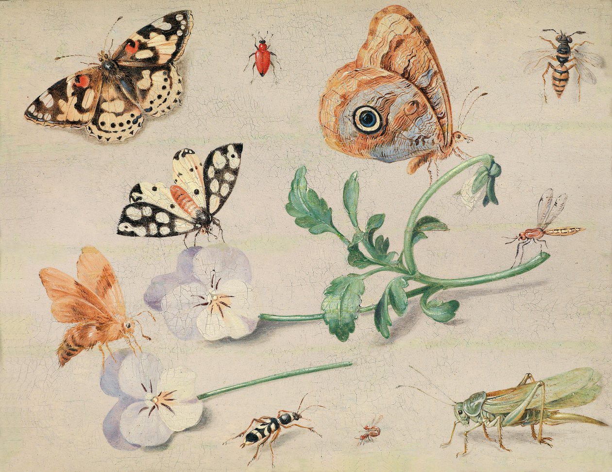 Böcekler ve Çiçekler Çalışması by Jan van Kessel the Elder
